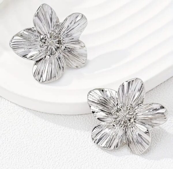 Boucles d'oreilles - Argenté